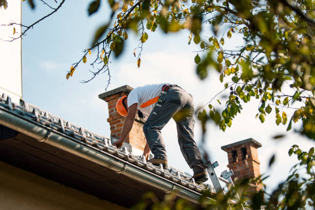 Best Commercial Roofing Services  in Mascoutah, IL