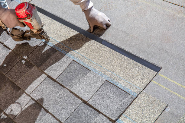 Best Roof Gutter Cleaning  in Mascoutah, IL